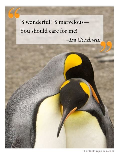 Penguin love quotes penguin s my other half living without you my dream came true cute penguins close your eyes cool words animals. "'S wonderful! 'S marvelous--You should care for me!" -Ira Gershwin #lovebartletts #penguins # ...