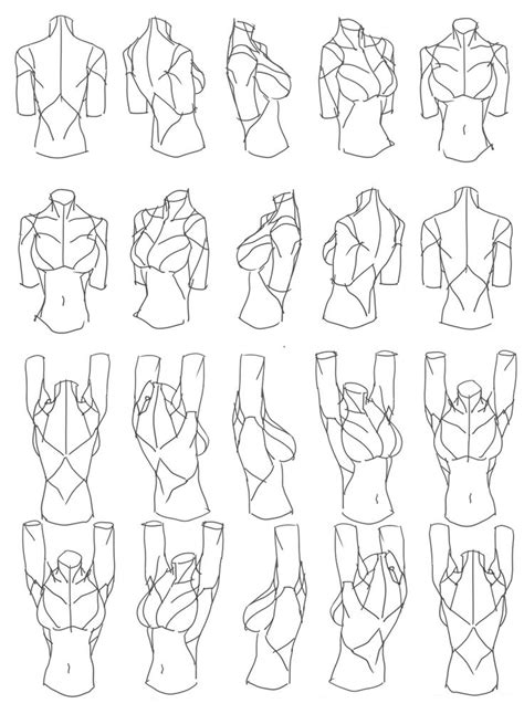 Male torso reference sheet 2 by kibbitzer on deviantart. "Female Torso Rotation" Reference Sheet Art Drawing Tips ...