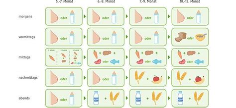 Einige eltern sind unsicher, wann sie brei oder beikost einführen sollen.die nationale stillkommission empfiehlt, vier bis sechs monate ausschließlich die brust zu geben. Beikost einführen: So geht's | dm.de | Beikost, Beikost ...