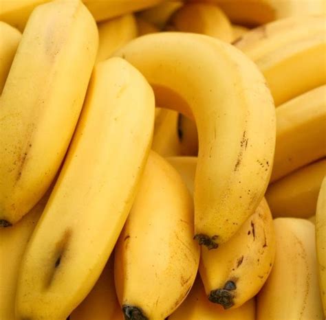 Pisang raja adalah salah satu jenis pisang yang paling mudah ditemui di pasaran. Jenis Jenis Pisang Dan Gambarnya Di Malaysia