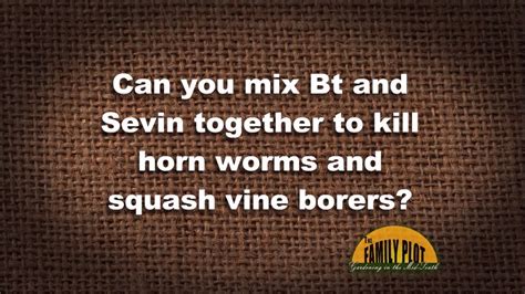 What bugs will sevin kil. Q&A - Can I use BT and Sevin together to kill bugs? - YouTube