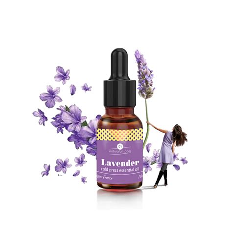 Lavender essential oil contains a chemical called linalool, which can be toxic to fleas and ticks. Lavender Essential Oil (Lavandula stoechas) - Naturafun