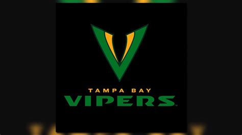 Tampa bay vipers qb quinton flowers taking time away from team for 'personal reasons'. Tampa Vipers XFL draft | wtsp.com