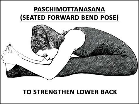 Hatha yoga asanas are the specific bodily position that aims to open energy channels. ಈ ಯೋಗಾಸನಗಳನ್ನು ಮಾಡಿದರೆ ಮೂಲವ್ಯಾಧಿ ಸಮಸ್ಯೆ ಕಾಡಲ್ಲ | yoga ...