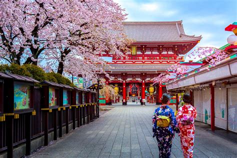 Picking up girls is a matter of charisma in japan. Went To Japan During Sakura Season But Didn't See Any ...