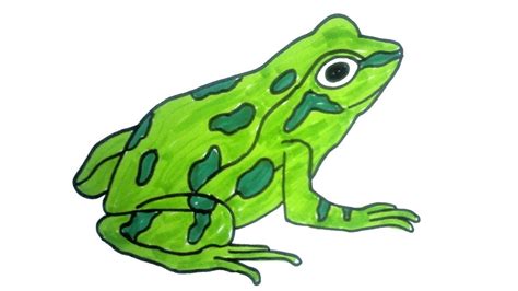 Easy, simple follow along drawing lessons for kids or beginners. how to draw a frog | Easy Step by Step Drawing for kids ...