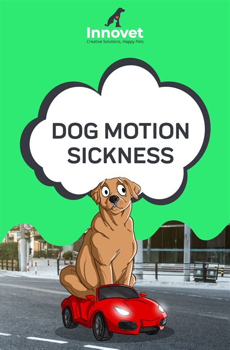 In fact, according to a 2020 study conducted by the university of not only does dog car anxiety contribute to psychological and emotional problems, but it can decrease their quality of life as well. The Best Natural Remedy For Dogs With Motion Sickness ...
