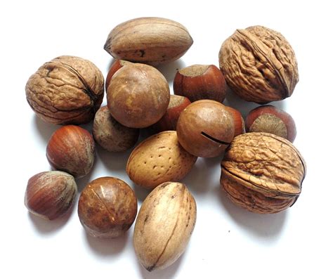 Brazil nut , brazil nuts , คีโต , บราซิลนัต , บราซิลนัตราคา. น๊อต วอลนัท ถั่วบราซิล · ภาพฟรีบน Pixabay