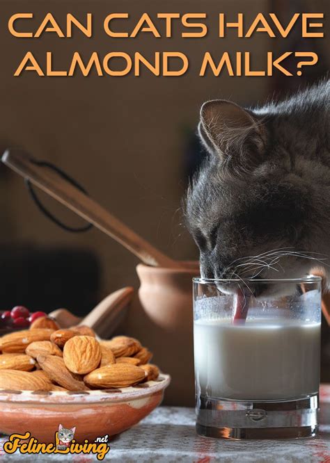 Coconut cream is good for my cats? FelineLiving.net in 2020 | Almond milk, Canning, Almond