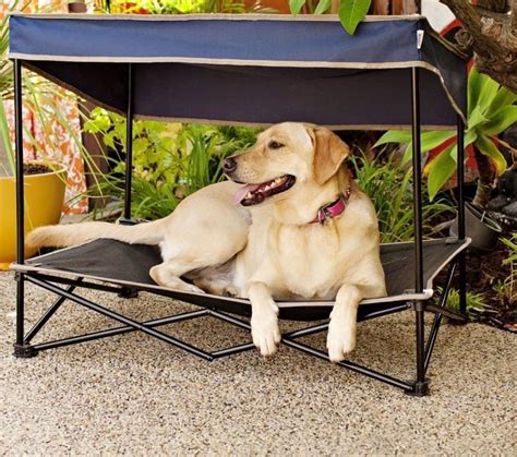 Buy dog beds online from pet circle with our best price guarantee and the convenience of fast,free shipping direct to your. Dog Cot Canopy Bed Pet Sun Snow Shade Umbrella Folding ...