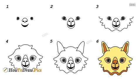 Learn how to draw the llama from fortnite. How To Draw Llama Step By Step Images