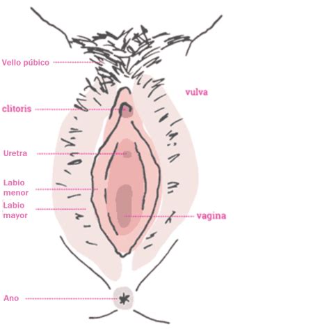 No es un trastorno psicológico, es una condición real y orgánica. ¿Tienes dolor en la vulva? Podrías tener vulvodinia