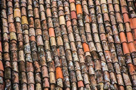 Roof problems are a homeowner's worst nightmare. How To Replace Roof Tiles - ELT Landscapes