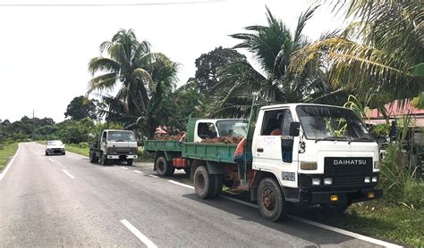 Последние твиты от borneo fc samarinda (@pusamaniaborneo). Machinery used in illegal soil extraction seized | Borneo ...