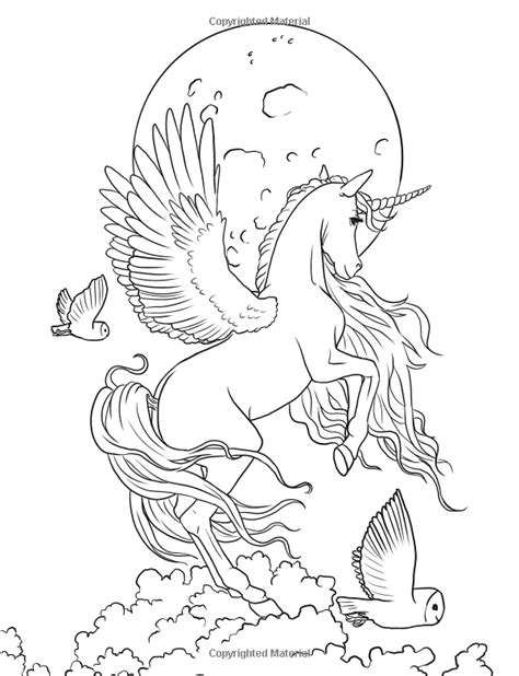 48 adorable unicorn coloring pages for girls and adults. Fairy Art Coloring Book by Selina Fenech: Unicorn Fantasy ...