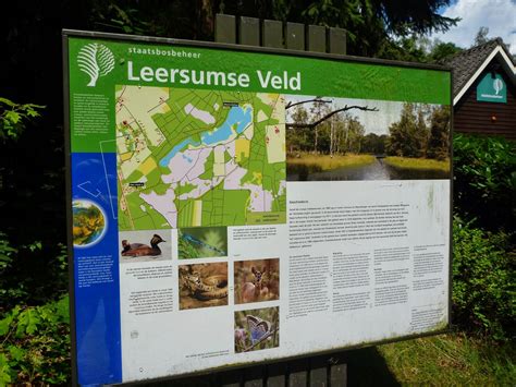 Een klein stukje buiten veenendaal bij overberg zetten we de auto neer. Bergloper: Leersumse Veld