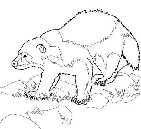 Download pets and wild animals coloring sheets. Wolverine Animal Coloring Pages at GetColorings.com | Free ...