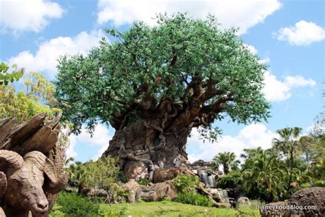 Disney food blog animal kingdom. Photo Tour and Review: Sights — and Snacks — in Animal ...