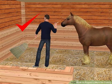 Often it is cheaper to fix a blanket rather than purchase a new one. How to Prepare a Mare for Foaling (with Pictures) - wikiHow