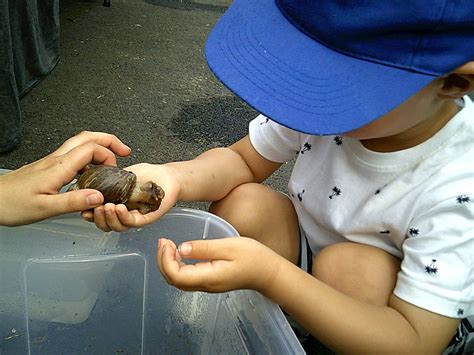 See more of priory lodge nursery on facebook. Fun Day at Pier Lodge - Pier Lodge Day Nursery