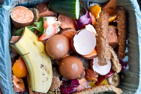 We did not find results for: 120 Things You Can Compost from Home