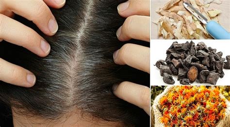 Natural techniques to stop hair from graying requires patience and persistence in the application. Get Rid of Gray Hair Naturally With These 12 Home Remedies ...