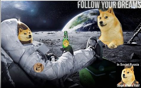 Rockets are helper items that allow you to go to different planets, once you buy them. r/space has predicted it, we are going to the Moon : dogecoin