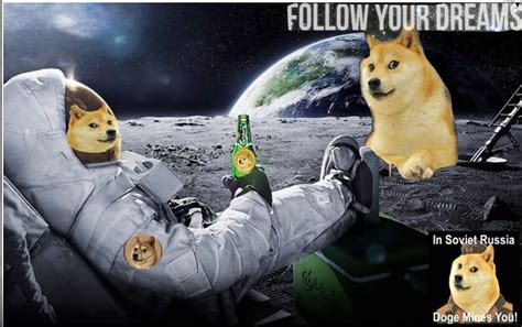 Arpa official‏ @arpaofficial 5 ч5 часов назад. r/space has predicted it, we are going to the Moon : dogecoin