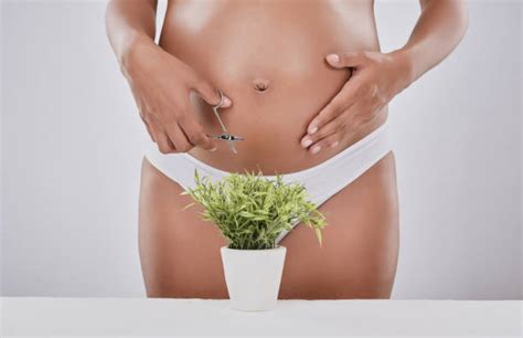 It can grow in an upside down triangle, or in an oblong shape. Best Women Pubic Hair Stock Photos, Pictures & Royalty-Free Images - iStock