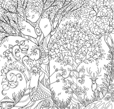 Maybe you would like to learn more about one of these? Adult Coloring Books - Top 100 | Enchanted forest coloring ...