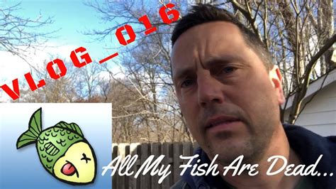 Maybe you would like to learn more about one of these? All My Koi Fish are DEAD.. VLOG - 016 - YouTube