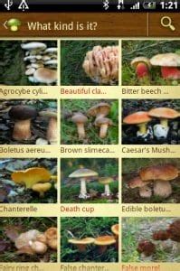 There are free apps for making identification much easier and safer. 7 Best Mushrooms Identification Apps for Android & iOS ...