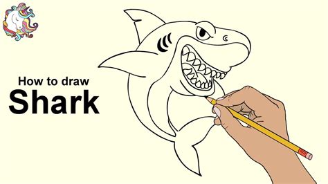 How to draw shark kids? How to draw a Great White Shark for Beginners Step by step ...
