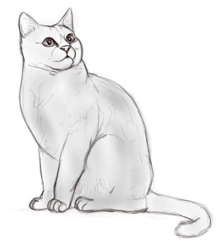 Dessin chat simple bestof photos dessin de chat. dessin de chat facile realiste - Les dessins et coloriage