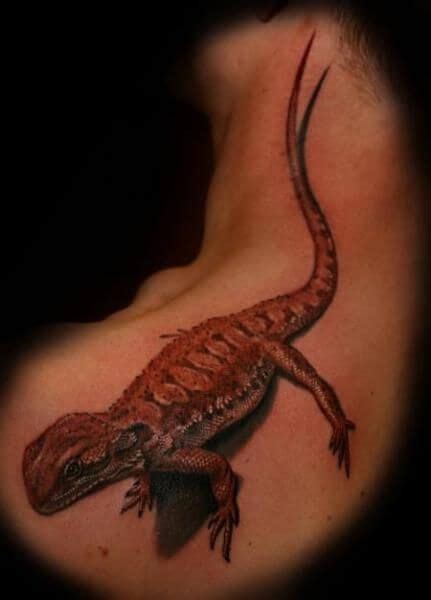 Tribal lizard tattoo pictures large gallery of tribal lizard reptile tattoos and designs. 35 Realistic Reptile Tattoo Designs в 2020 г | Ящерицы ...