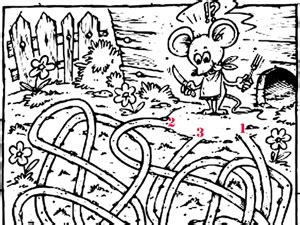 Come and coloring your favorite princesses in memorable image! Elsa de colorat