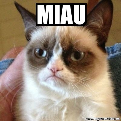 Blank meme generator to caption prebuild meme templates or upload your pictures to make custom memes. Meme Grumpy Cat - MIau - 16592756