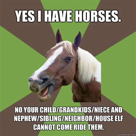 Was kann es also schöneres geben nach einem entspannten tag mit dem pferd und einer schönen runde ausmisten. 269 besten Funny Horse Quotes - Humor Bilder auf Pinterest ...