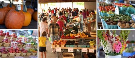 Eating healthy is an important part of wellness. Mount Pleasant Farmers Market Date: October 16, 2014 Time ...