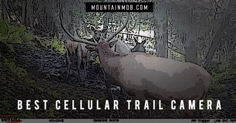 A game cam that sends pictures to your phone should instantly appeal to deer hunters. Best Trail Cameras That Send Pictures To Your Phone ...