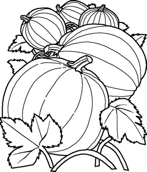 More clip art of pumpkins. Delicous Pumpkins Coloring Page : Kids Play Color