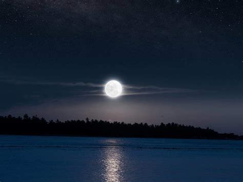 【メニス】このパンティが好き♥ i love the victoria's secret panty♥ menis' short stories #093. Moonlight Azmi 21 : Uncommon Moonlight And Additional Hours Of Sleep On Halloween Wral Com ...