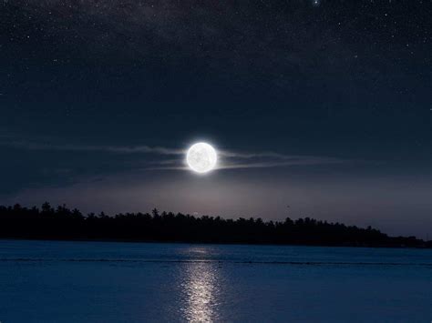 Moonlight can run alongside official steam link streaming and. Moonlight Azmi 21 : Uncommon Moonlight And Additional ...
