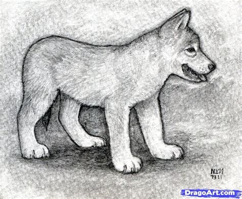 It also provides great practice with smooth shading. how to draw realistic wolf pups | how to draw a wolf puppy | Wolf puppy, Wolf drawing, Animal ...