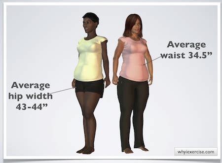 Let your get effective slimming solution without rebounding. Waist hip ratio: Simple measurements. Valuable health info.