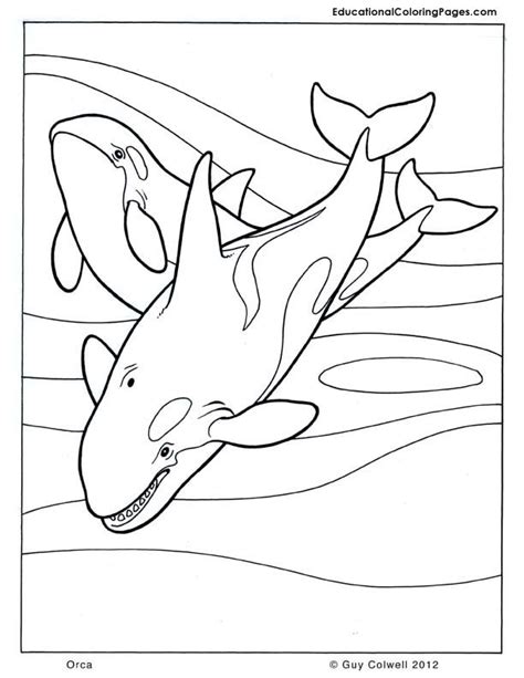 Be the change inspiring quote free coloring page. 11 best images about Mammals Coloring Pages on Pinterest ...