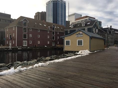 Compliment your vows with sweeping views of the halifax harbour on the rooftop patio, then. Halifax Waterfront Boardwalk - 2020 All You Need to Know ...