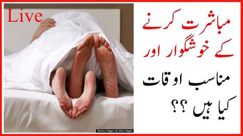 پاسخ آیت الله علم الهدی از تقطیع سخنانش درباره مباشرت جنسی. مباشرت کرنے کے خوشگوار اوقات کیا ہیں| Urdu Health Point ...