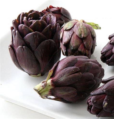 Get the best deal for artichoke plants from the largest online selection at ebay.com. Purple Artichoke Plant - Delicious Perennial Vegetable ...