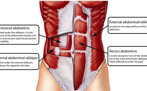 You'll find this is especially true if you're unsure of the underlying symptoms. Abdominal Muscles should Protect Your Spine. Learn How to ...
